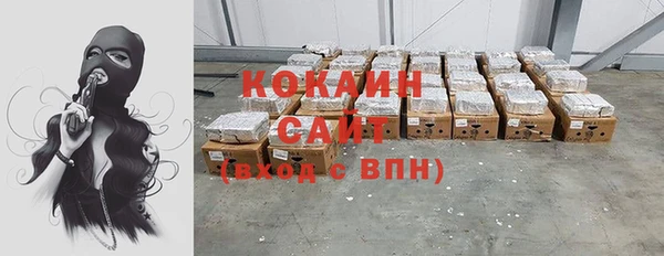 индика Наволоки