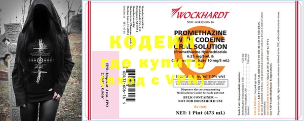 сатива Новозыбков