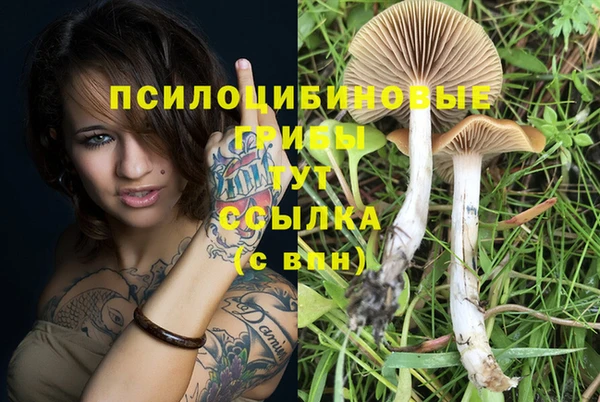 герыч Навашино