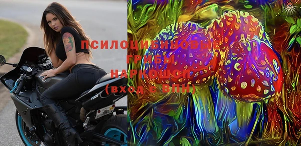 индика Наволоки