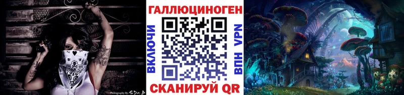 Галлюциногенные грибы MAGIC MUSHROOMS  где купить наркоту  Кингисепп 