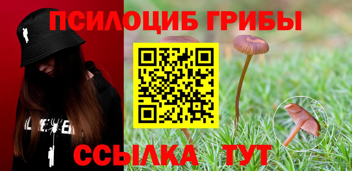 Кингисепп  Галлюциногенные грибы Magic Shrooms  Вход с VPN 