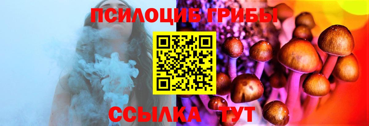 Псилоцибиновые грибы мицелий  Галлюциногенные грибы Cubensis  Кингисепп 