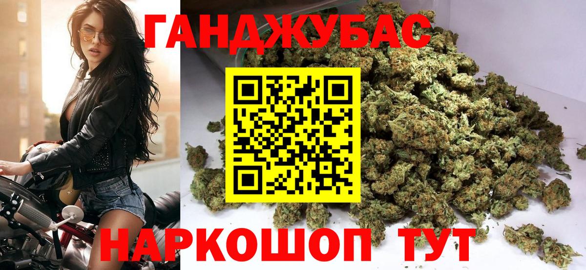 Кингисепп  Бошки Шишки конопля  Каннабис сатива  Вход с VPN 